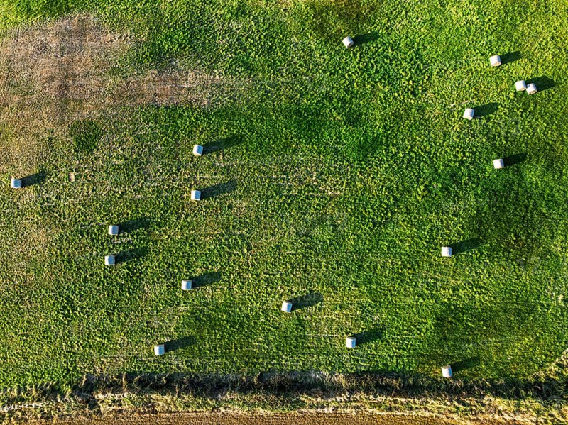 Top Down view over Cornwall fields and farms from a drone, Lizard Peninsula, South West Coast Path, Lizard, Cornwall, England, United Kingdom