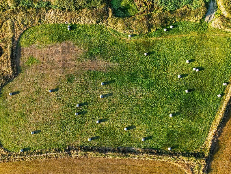Top Down view over Cornwall fields and farms from a drone, Lizard Peninsula, South West Coast Path, Lizard, Cornwall, England, United Kingdom