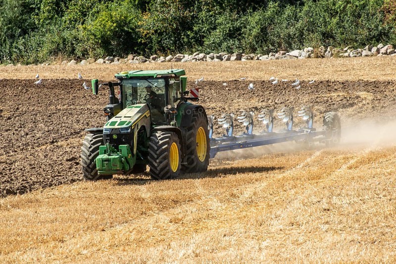 Autumn plowing with tractor in Borrie, Ystad municipality, Skåne county, Sweden, Scandinavia