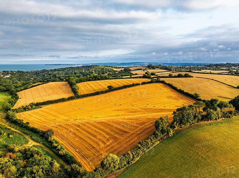 Colors of Fields and Farms over Torquay from drone, Torbay, Devon, England, United Kingdom
