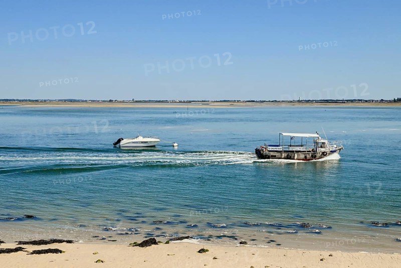Boats off the Pen-Bron peninsula in the Gulf of Le Grand-Traict, Le Croisic, Loire-Atlantique, Pays de la Loire, France