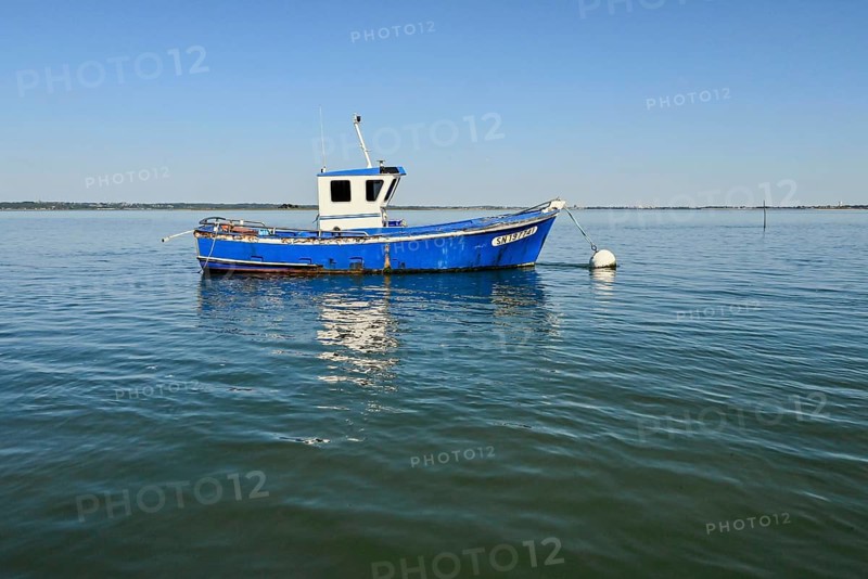Boat off the Pen-Bron peninsula in the Gulf of Le Grand-Traict, Le Croisic, Loire-Atlantique, Pays de la Loire, France