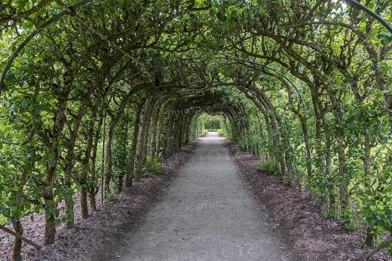 Pergola in the garden of the Menkemaborg in Uithuizen, province of Groningen, Netherlands