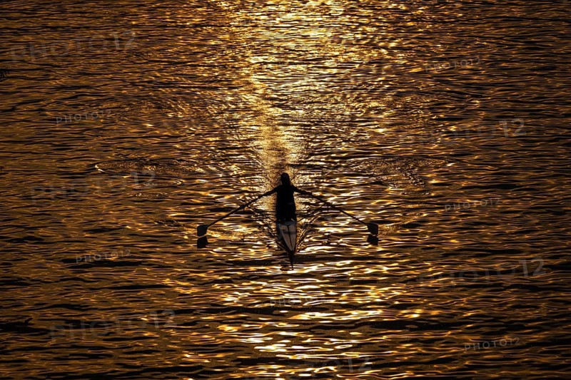 A rower rowing along the Main at sunset in Frankfurt, Frankfurt am Main, Hesse, Germany
