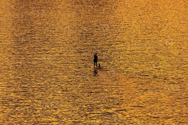 A paddler paddles along the Main at sunset in Frankfurt, Frankfurt am Main, Hesse, Germany