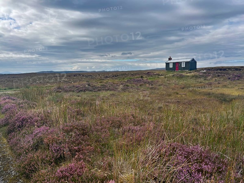 Lonely hut in a vast moorland landscape with cloudy sky, Isle of Lewis Hebrides, Scotland, Great Britain