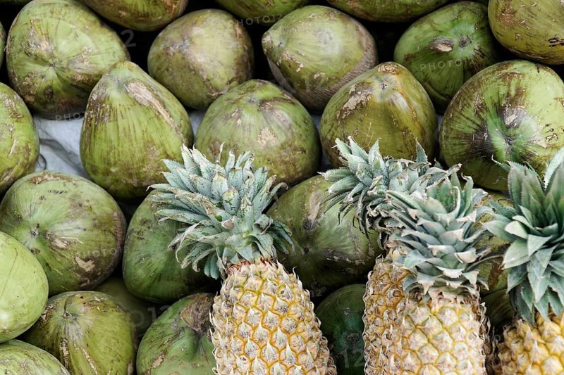 Kota, Rajasthan, North India, Asia, Green, unripe coconuts and several pineapples with green leaves, arranged together, India