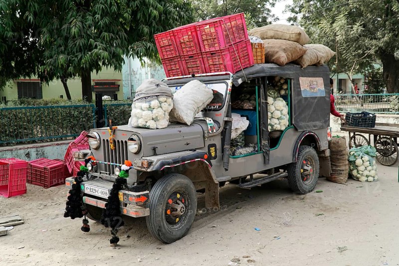 Sawai Madhopur, Kota, Rajasthan, North India, Asia, A fully loaded lorry with cauliflowers and crates, ready for market transport, India