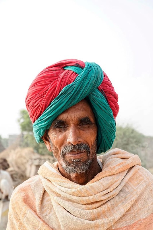 Ranthambhore Tiger Reserve, Sawai Madhopur, Kota, Rajasthan, North India, Asia, An elderly man with traditional turban and serious face photographed outdoors, India