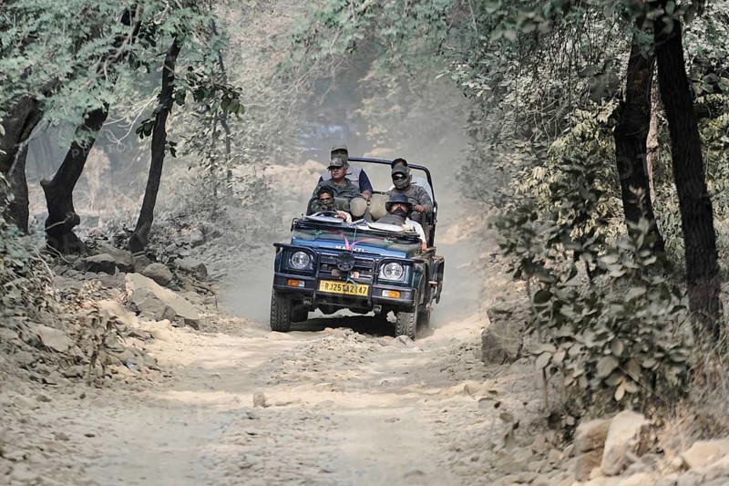 Ranthambhore Tiger Reserve, Sawai Madhopur, Kota, Rajasthan, North India, Asia, Jeep with drivers steering through a dusty forest road, India