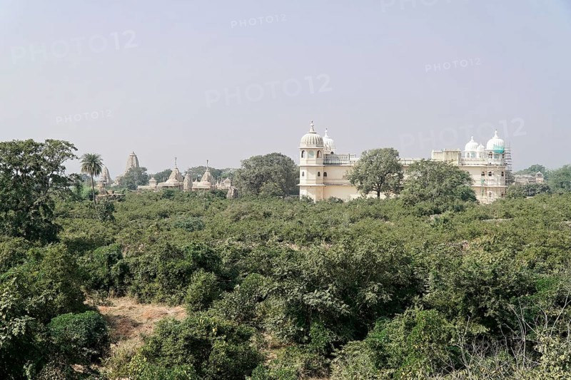 Kota, Rajasthan, North India, Asia, Indian landscape with lush greenery and historical buildings in the background, India