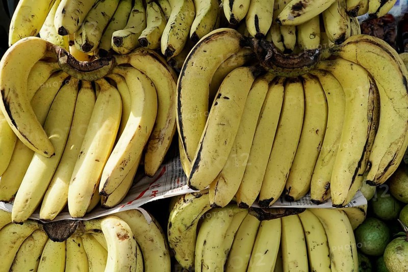 Kota, Rajasthan, North India, Asia, Banana clusters on a fruit stand, bright yellow and ripe, India