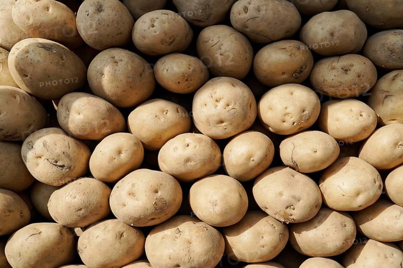 Kota, Rajasthan, North India, Asia, Pile of fresh brown potatoes on a market stall, India