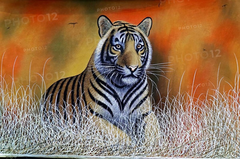 Painting, Sale, Souvenir, Udaipur, Rajasthan, India, Asia, Painting of a tiger in a savannah at sunset, surrounded by tall grasses, North India