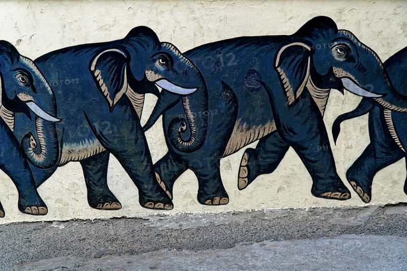 Udaipur, Rajasthan, North India, Asia, Row of painted black elephants on a light-coloured wall, walking in one direction