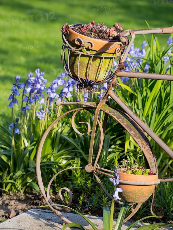 Metal bicycle with flower pot, surrounded by green meadow, borken, münsterland, germany