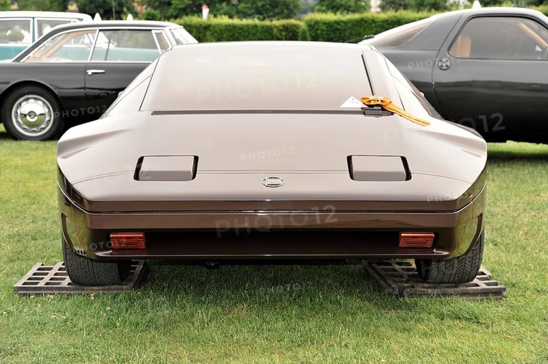 A brown classic sports car displayed from behind in a meadow, Retro Classics meets Baroque, Ludwigsburg, Baden-Württemberg, Germany