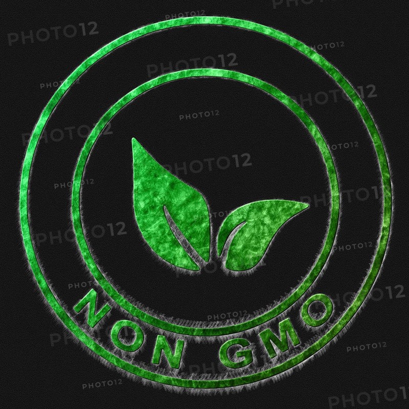Non Gmo Green Symbol Drawn on Black Background