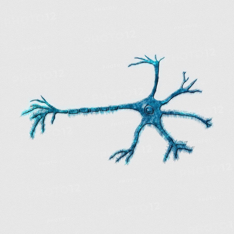 Neuron Axon, Mind and Psychology Concept