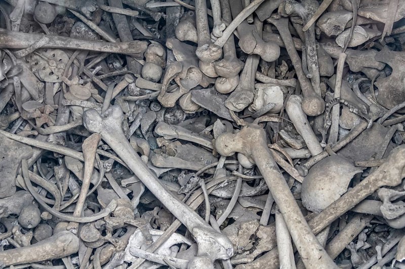 Lots of human bones from fallen soldiers seen at the Douaumont Ossuary, a memorial located near Verdun in France