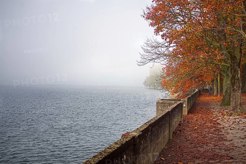 A misty autumn day on Lake Constance with trees in red-orange autumn leaves, Lindau