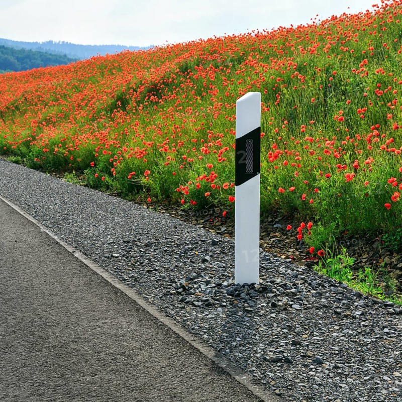 Delineator post at the edge of the carriageway, poppy blossom, Eschershausen, Weserbergland, Holzminden, Lower Saxony, Germany