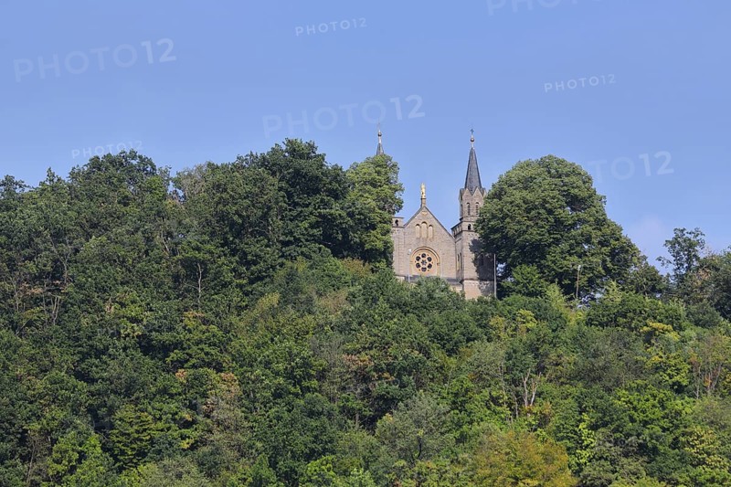 St. Mary's Church, mountain, forest, Zeiler Käppele, Kapellenberg, Zeil am Main, Lower Franconia, Franconia, Bavaria, Germany