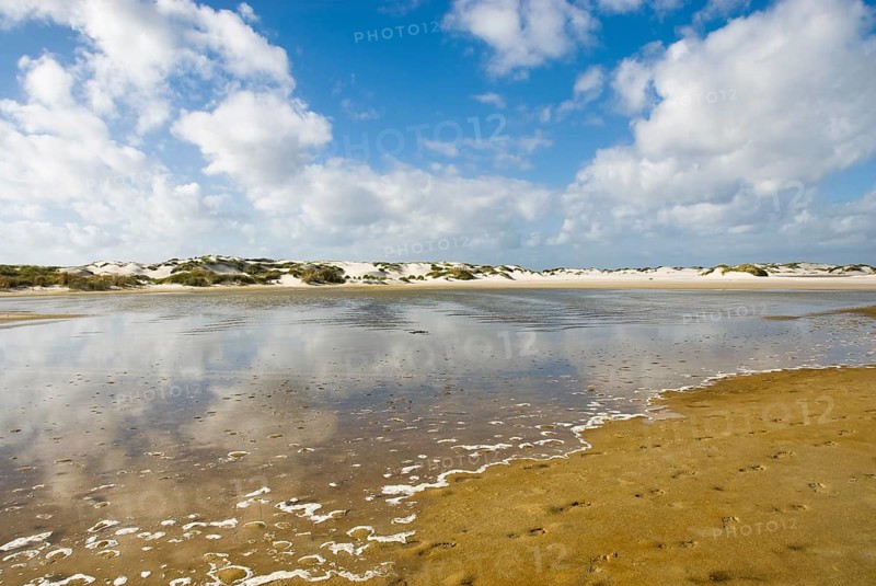 Water reservoir between the dunes of the North Frisian island of Amrum, Amrum, Norddorf, North Frisia, Germany