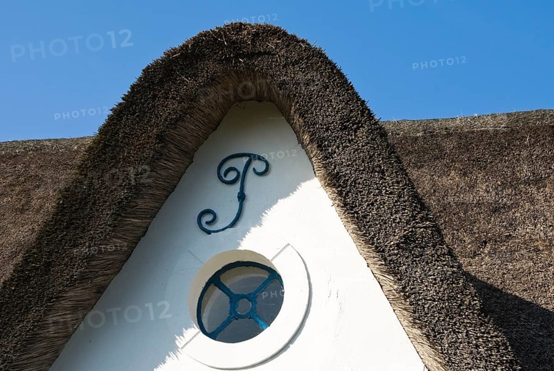 Typical Frisian houses in the village of fog on the North Frisian island of Amrum, Amrum, fog, North Frisia, Germany