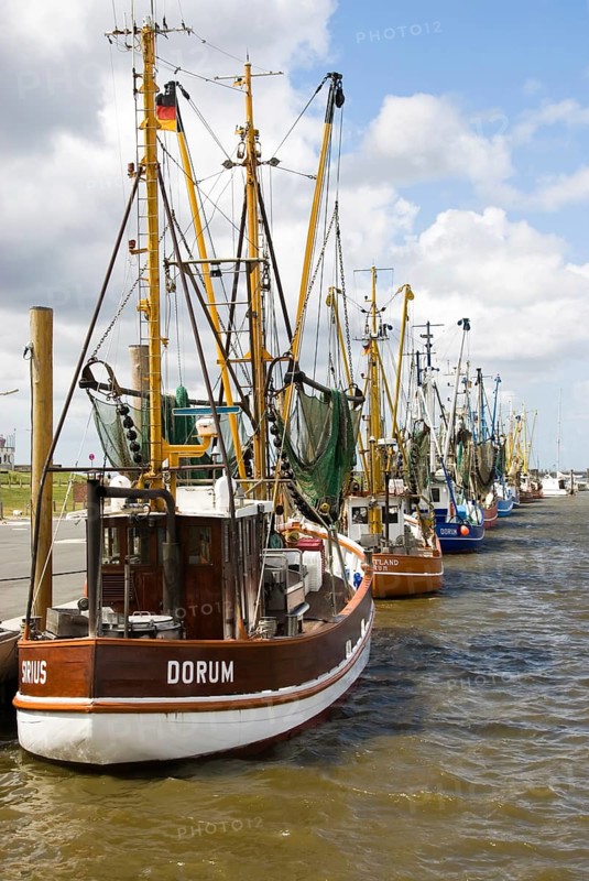 Fishing harbour, Dorumer Neufeld, Lower Saxony, Germany, Dorumer Neufeld harbour, Dorumer Neufeld, Lower Saxony, Germany