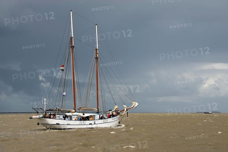 2-masted topsail schooner Flying Dutchman, harbour of Bremerhaven, Bremerhaven, Lower Saxony, Germany
