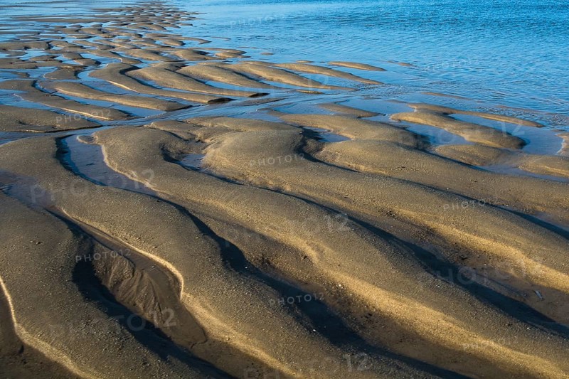 Low tide on the west coast of Sylt near Westerland, Sylt, Westerland, Schleswig-Holstein, Germany