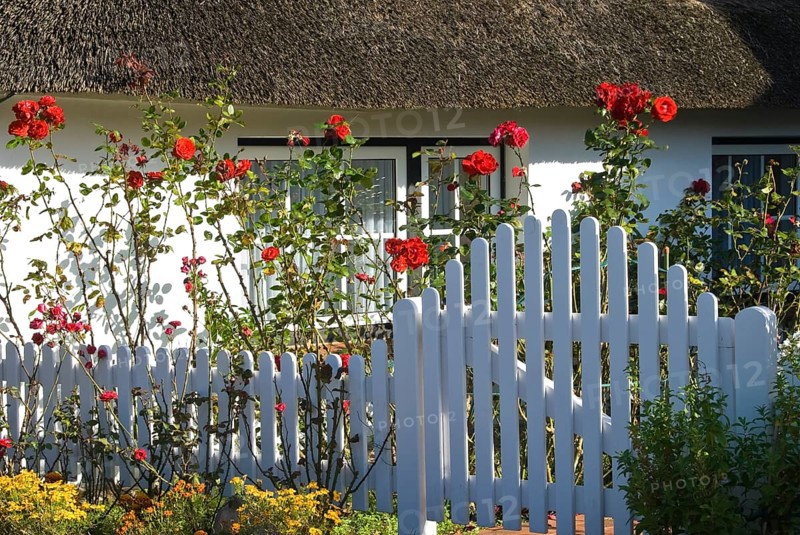 Typical Frisian houses in the village of fog on the North Frisian island of Amrum, Amrum, fog, North Frisia, Germany