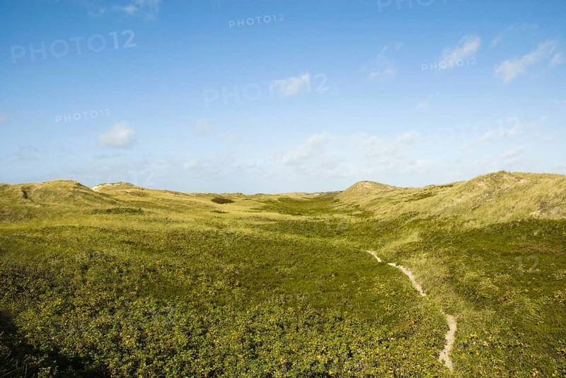 The Frisian Caribbean, North Frisian island of Amrum, North Frisia, North Germany, Germany