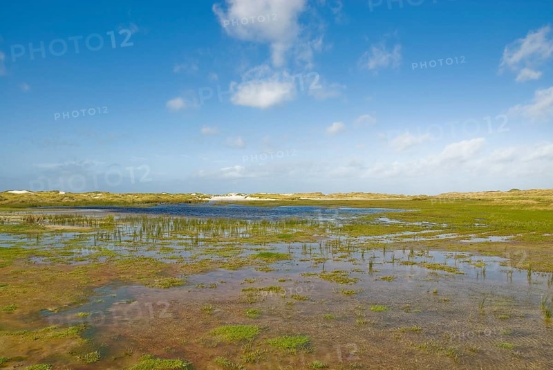 Water reservoir between the dunes of the North Frisian island of Amrum, Amrum, Norddorf, North Frisia, Germany
