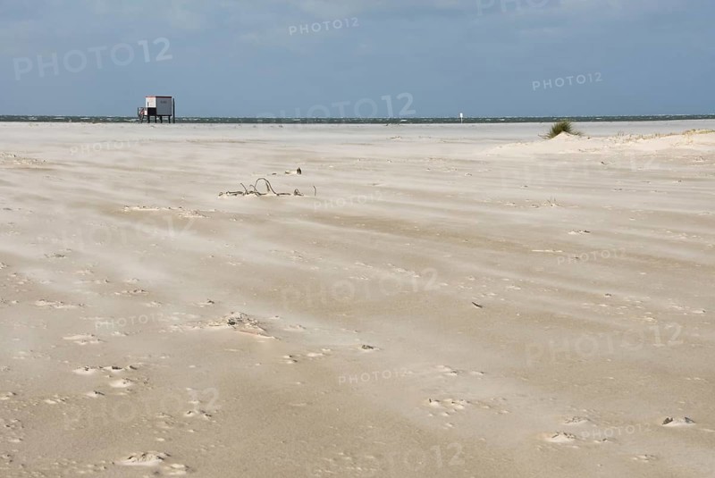 A strong storm whistles across the desert-like western beach of the North Frisian island of Amrum, Amrum, Norddorf, North Frisia, Germany
