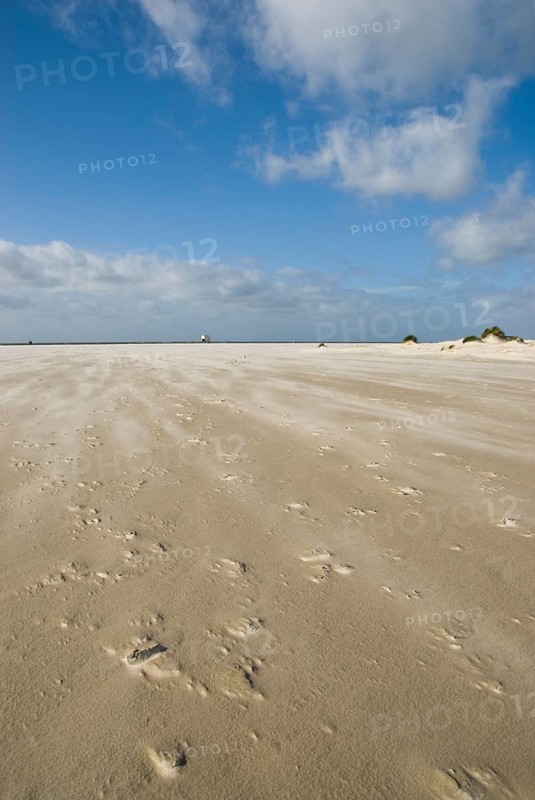 A strong storm whistles across the desert-like western beach of the North Frisian island of Amrum, Amrum, Norddorf, North Frisia, Germany
