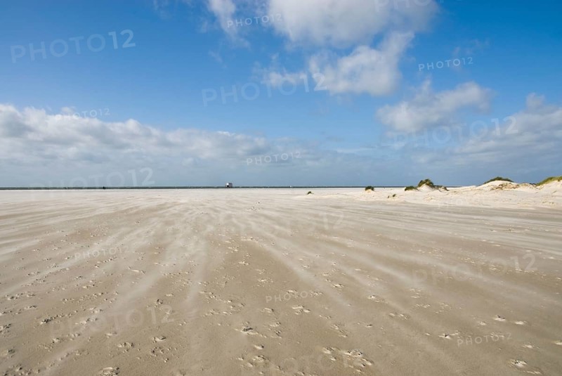 A strong storm whistles across the desert-like western beach of the North Frisian island of Amrum, Amrum, Norddorf, North Frisia, Germany