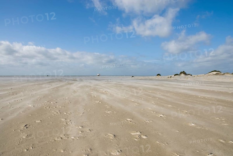 A strong storm whistles across the desert-like western beach of the North Frisian island of Amrum, Amrum, Norddorf, North Frisia, Germany