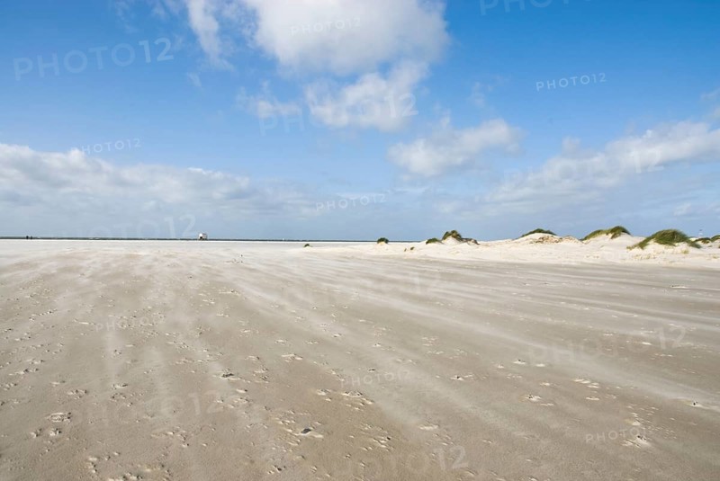 A strong storm whistles across the desert-like western beach of the North Frisian island of Amrum, Amrum, Norddorf, North Frisia, Germany