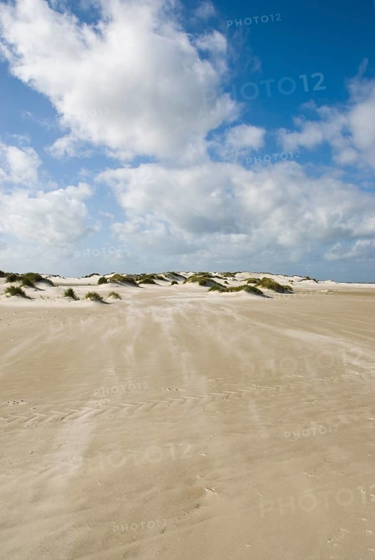A strong storm whistles across the desert-like western beach of the North Frisian island of Amrum, Amrum, Norddorf, North Frisia, Germany