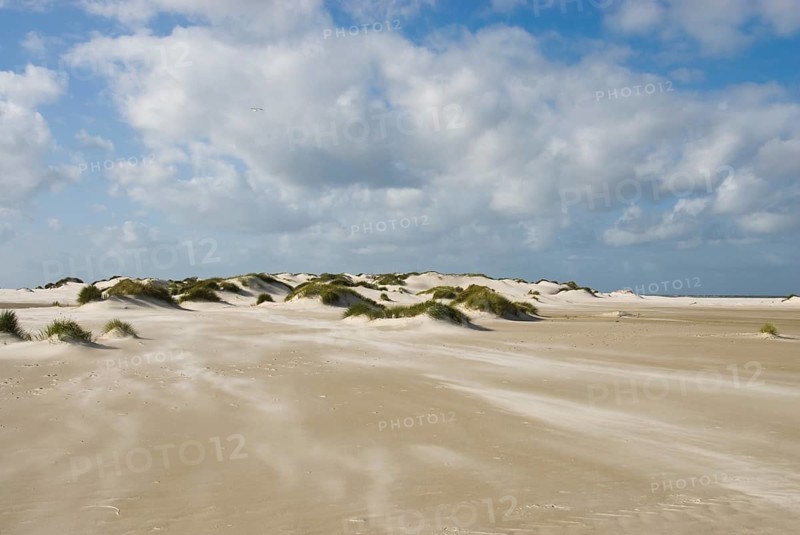 A strong storm whistles across the desert-like western beach of the North Frisian island of Amrum, Amrum, Norddorf, North Frisia, Germany