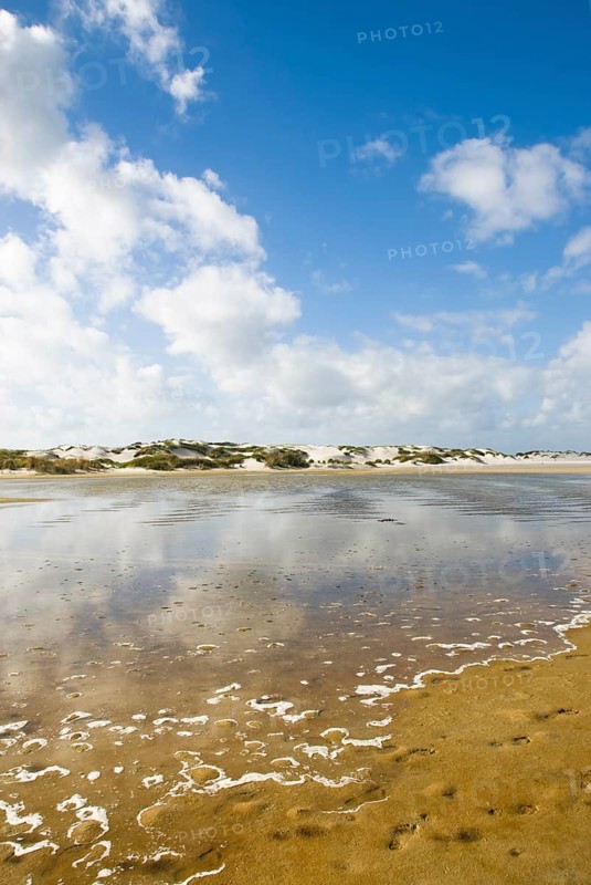 Water reservoir between the dunes of the North Frisian island of Amrum, Amrum, Norddorf, North Frisia, Germany