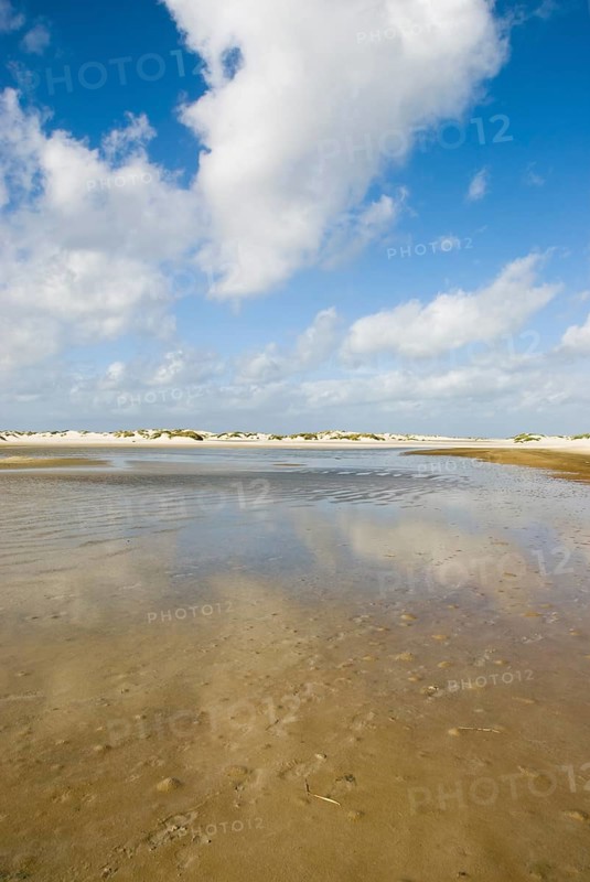 Water reservoir between the dunes of the North Frisian island of Amrum, Amrum, Norddorf, North Frisia, Germany