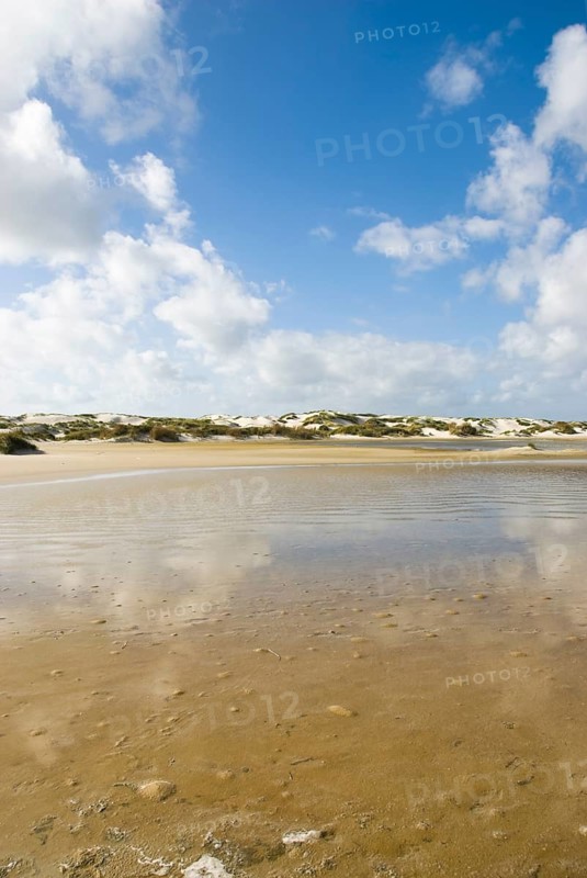 Water reservoir between the dunes of the North Frisian island of Amrum, Amrum, Norddorf, North Frisia, Germany