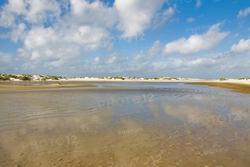 Water reservoir between the dunes of the North Frisian island of Amrum, Amrum, Norddorf, North Frisia, Germany
