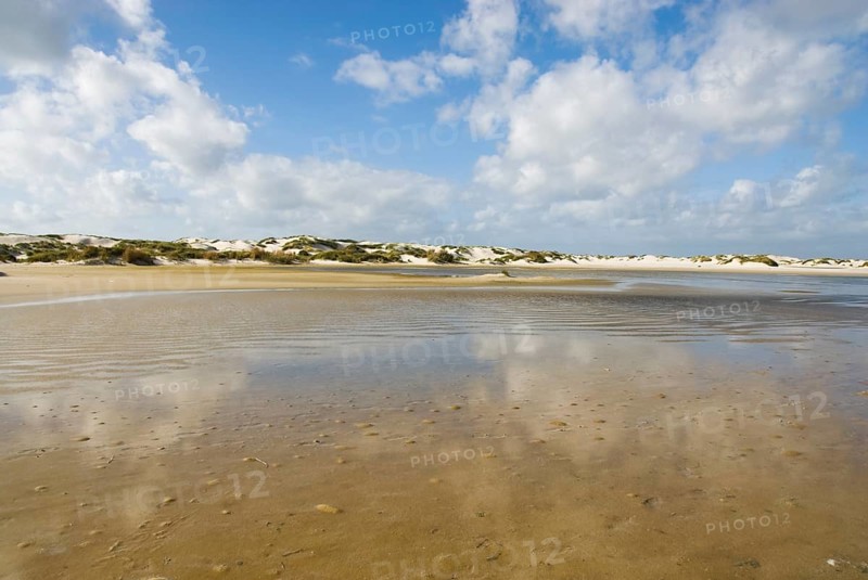 Water reservoir between the dunes of the North Frisian island of Amrum, Amrum, Norddorf, North Frisia, Germany