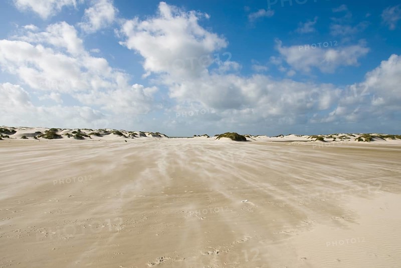 A strong storm whistles across the desert-like western beach of the North Frisian island of Amrum, Amrum, Norddorf, North Frisia, Germany