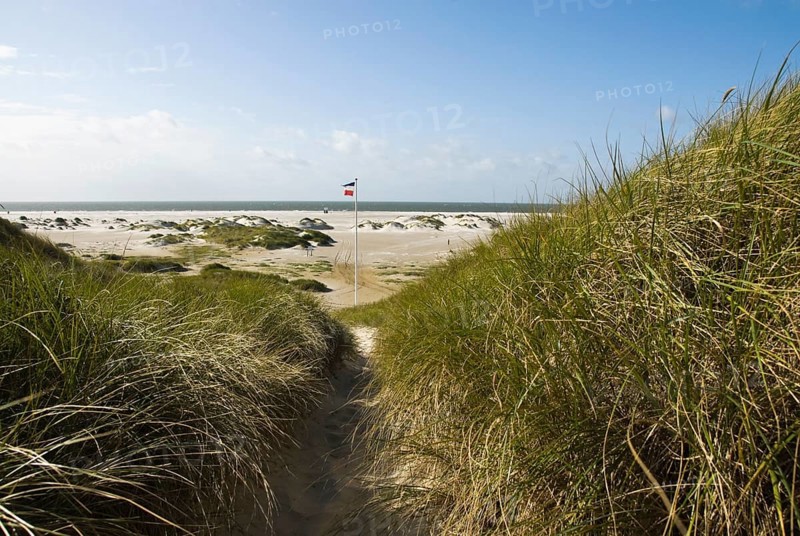 Dune landscape in front of a blue sky on the beach of Norddorf on the North Frisian island of Amrum, Amrum, Norddorf, North Frisia, Germany