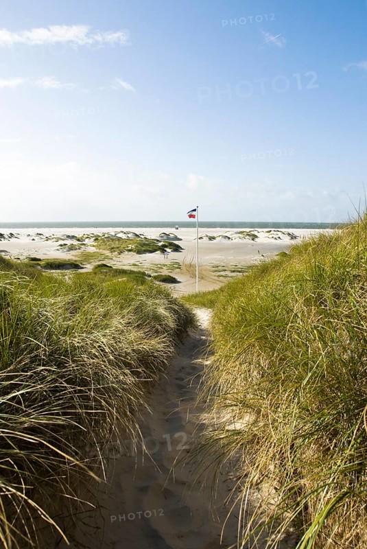 Dune landscape in front of a blue sky on the beach of Norddorf on the North Frisian island of Amrum, Amrum, Norddorf, North Frisia, Germany
